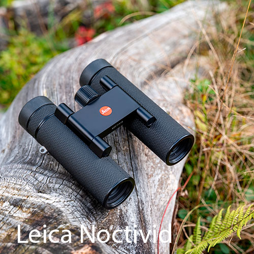 Leica Noctivid