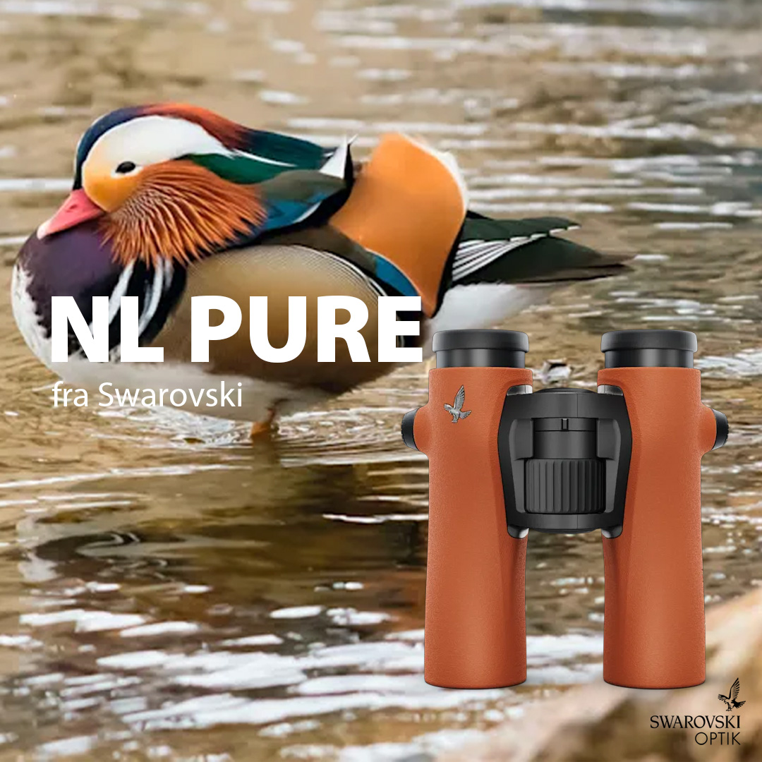En Mandarinand og en Swarovski NL Pure Kikkert