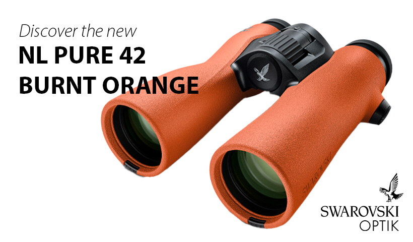 Swarovski NL Pure 42 i Burnt Orange farve